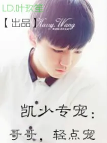 凯少专宠：哥哥，轻点宠