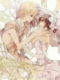 总裁与少女