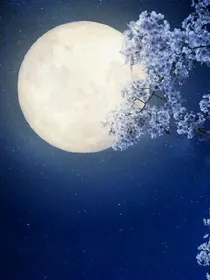 快穿之甘之若饴