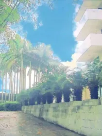 你喜欢我在那个我喜欢你的夏天
