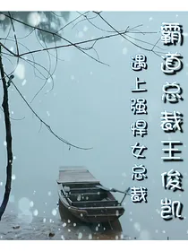 霸道总裁王俊凯遇上强悍女总裁
