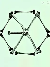 EXO女配之愿你安好