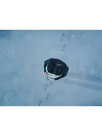 平行世界的你们与我