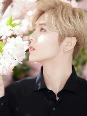 樱花水印