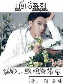 Hello系列:你好，我的黄先生