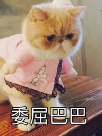 也许最倒霉的人是我吧