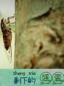 盛夏的剩下（魑魅魍魉）