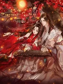 摄政王爷皇子妃