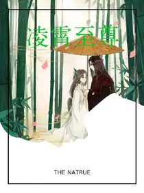 凌霄至尊