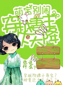 萌宝别闹：穿越妻主从天降