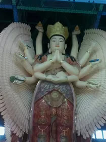 阴阳道仙传