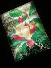 身穿古代是非多