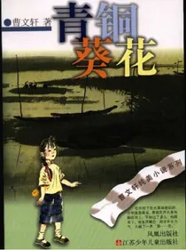 青铜葵花2