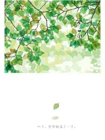 许你岁月温柔