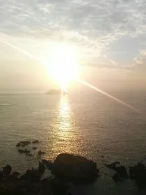 清晨的爱恋