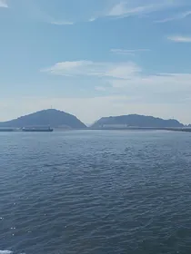 爱情的海湾