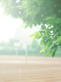 我的罪恶青春
