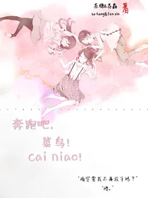 奔跑吧，菜鸟！