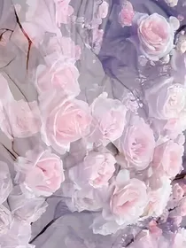 失不再来
