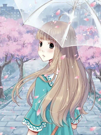 ho软通货