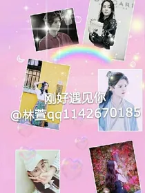 刚好遇见你ludi