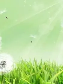 浅颖点泪的发泄系