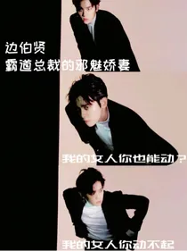 边伯贤-霸道总裁的邪魅娇妻