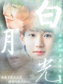 王源之白月光