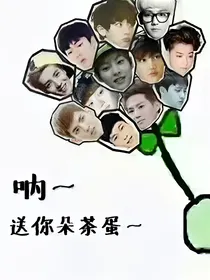 EXO:我的十二个老公