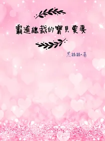 霸道總裁的寶貝愛妻