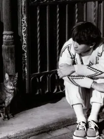 他的猫.