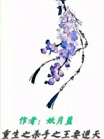 重生之杀手之王要逆天