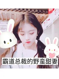 霸道总裁的野蛮甜妻