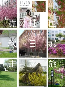 同桌恋情