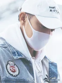 TAO：系列图片
