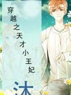穿越之天才小王妃