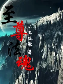至尊法魂