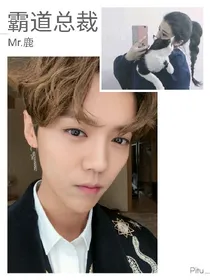 霸道总裁Mr.鹿