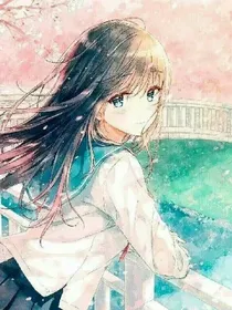 梨花又开，你在哪里？