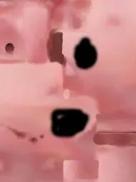 叶罗丽之叶王妃