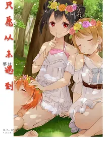 只愿从未遇到