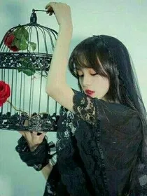 薰衣草的幻香