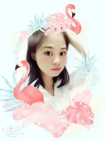 抬头又见你