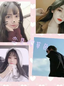 爱恋是樱草的颜色