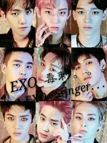 EXO-毒刺