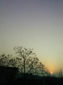 那个夜晚，我独自走在冷风中