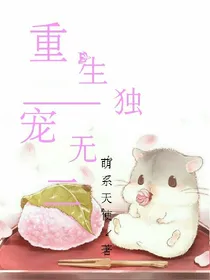 重生——独宠无二