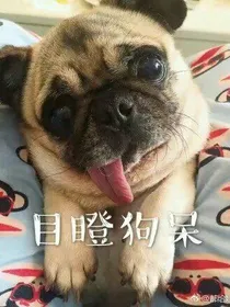 冤家cp日常梗