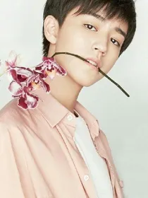 TFBOYS之折星时代