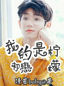 我的初恋是柠檬——d360